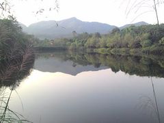 -维乐口腔医院(星海湾分院)
