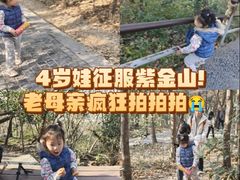 -紫金山山顶公园