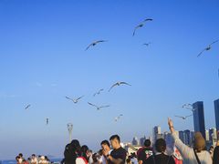 -东港音乐喷泉广场