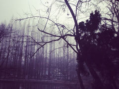 iphone_upload_pic-八大关景区