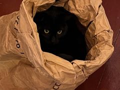 -春风十里咖啡馆