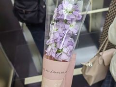-陆家嘴世纪金融广场