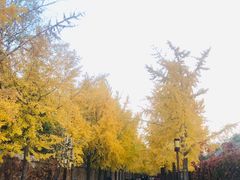 -圆明园停车场