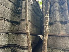 -梭布垭石林景区