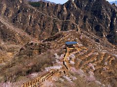 -大岭沟猕猴桃谷风景区