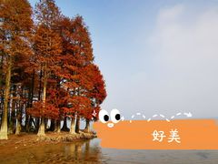 -四明湖