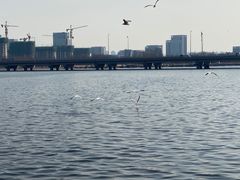 -天津金海湖