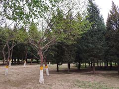 -东升八家郊野公园