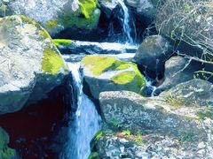 -太湖源花千谷民宿(太湖源景区店)