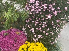 -杭州植物园