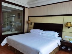 -维也纳国际酒店(深圳新洲店)