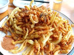 -崂山水果园农家宴(泉水鸡店)