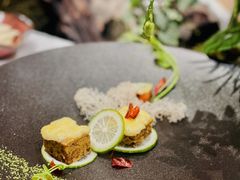 -叶叶菩提(太原别墅店)