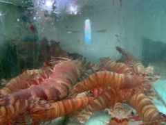 -班赞海鲜市场