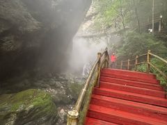 -牛背梁国家森林公园