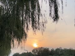 -洨河生态公园