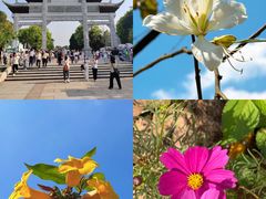 -金成潮菜博物馆(海珠湿地店)