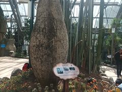 -南山植物园