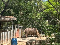 -深圳野生动物园