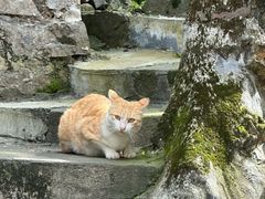-东沙渔村