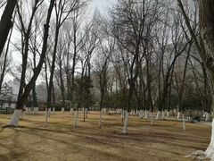 -西宁市人民公园(城西区)