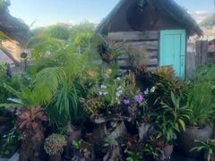 -自然餐厅(Phuket)