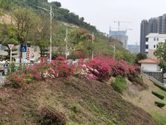 -小南山公园