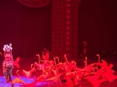 -珠海横琴长隆《卡卡虎奇遇记》