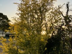 -东钱湖旅游度假区