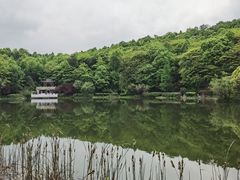 -岳麓山风景名胜区
