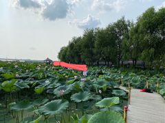 -北纬44度·金珠花海休闲农业旅游景区