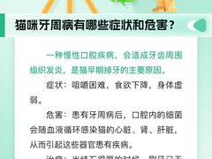 -瑞派申生动物医院·24H夜诊·国际动物医疗中心·骨外科(吴中路店)