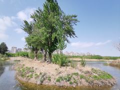 -马家湾湿地公园