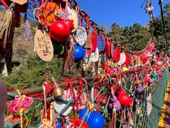 -西双版纳原始森林公园