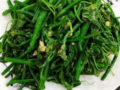 清炒丝瓜秧-力力豆花庄(广渠门店)