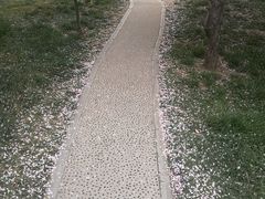 -郑州大学荷园二餐厅