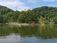 -广州市帽峰山景区