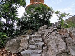 -广州市白云山风景名胜区
