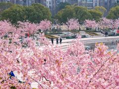 -新江湾城公园