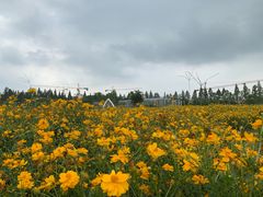 -歌斐颂巧克力小镇