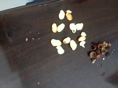 崩豆张(古文化街店)-崩豆张(古文化街店)