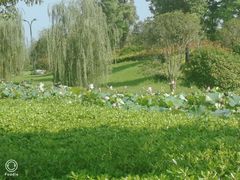 -四里河滨水生态公园