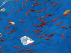 -海合安武汉极地海洋公园