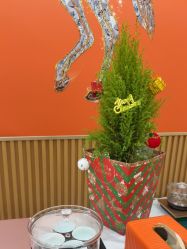 -美肤盾祛痘·问题肌头疗管理中心