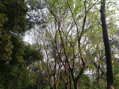 -广州雕塑公园