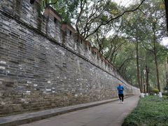 -桂湖森林公园