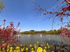 -南汇桃花村