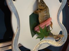 -先斗町卯柳