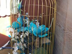 -自贡盐帮菜·玩辣餐厅(樱花园西街店)