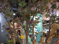 -咖法森林·咖啡  酒吧(天河店)